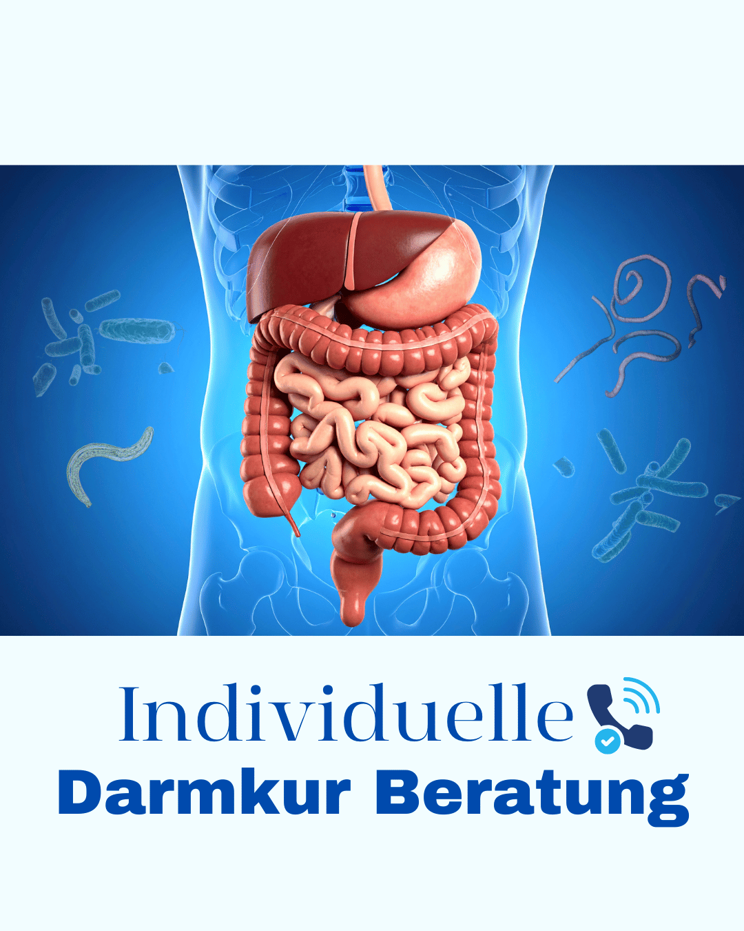 Individuelle Darmkur zusammenstellung