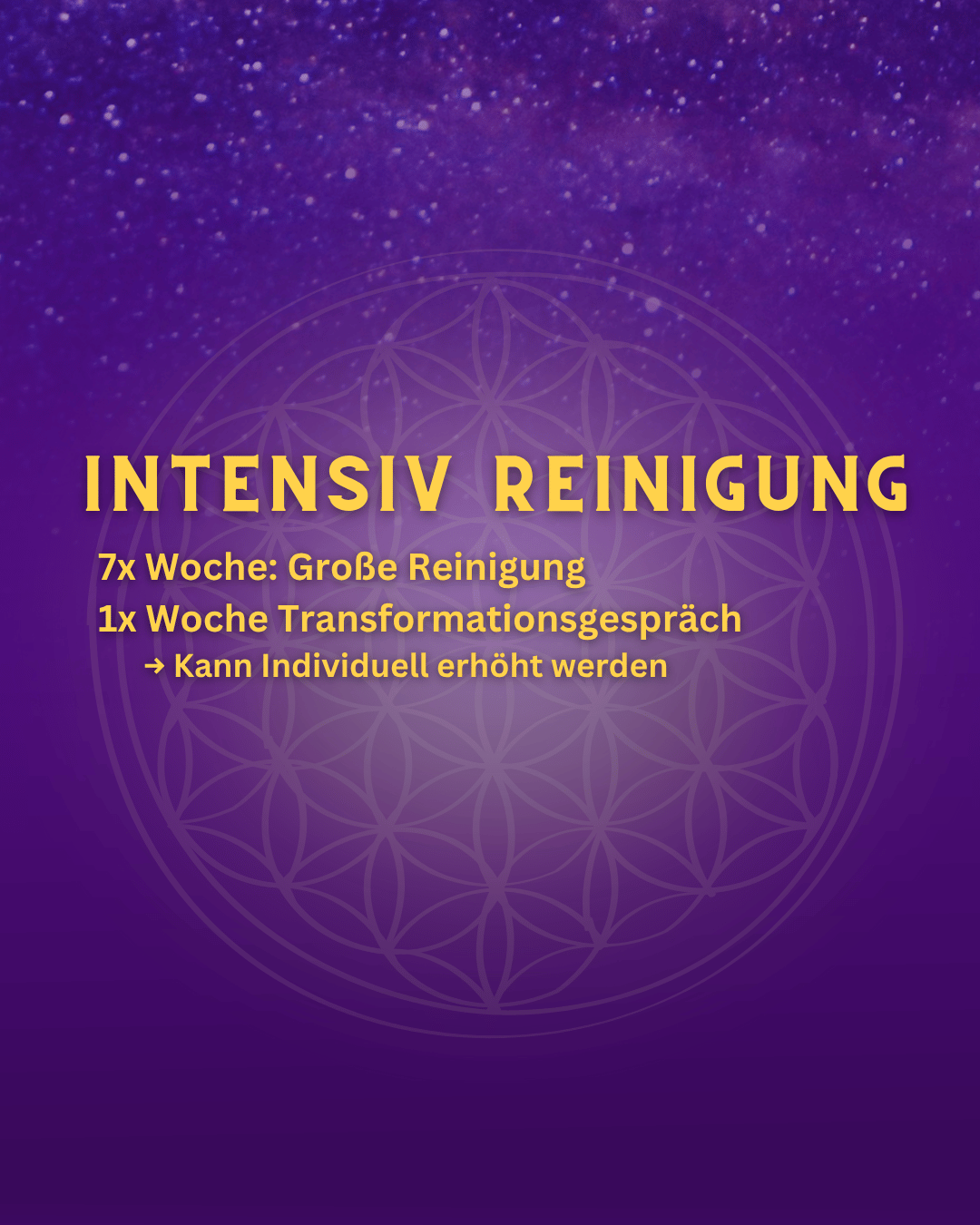 Große Intensiv Reinigung