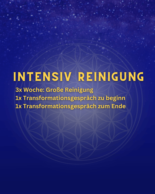Intensiv Reinigung